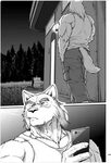 Смотреть комикс Animals: rough wolves лентой на сайте Авторс